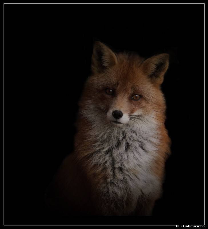 Наталья Михайличенко | Севастополь