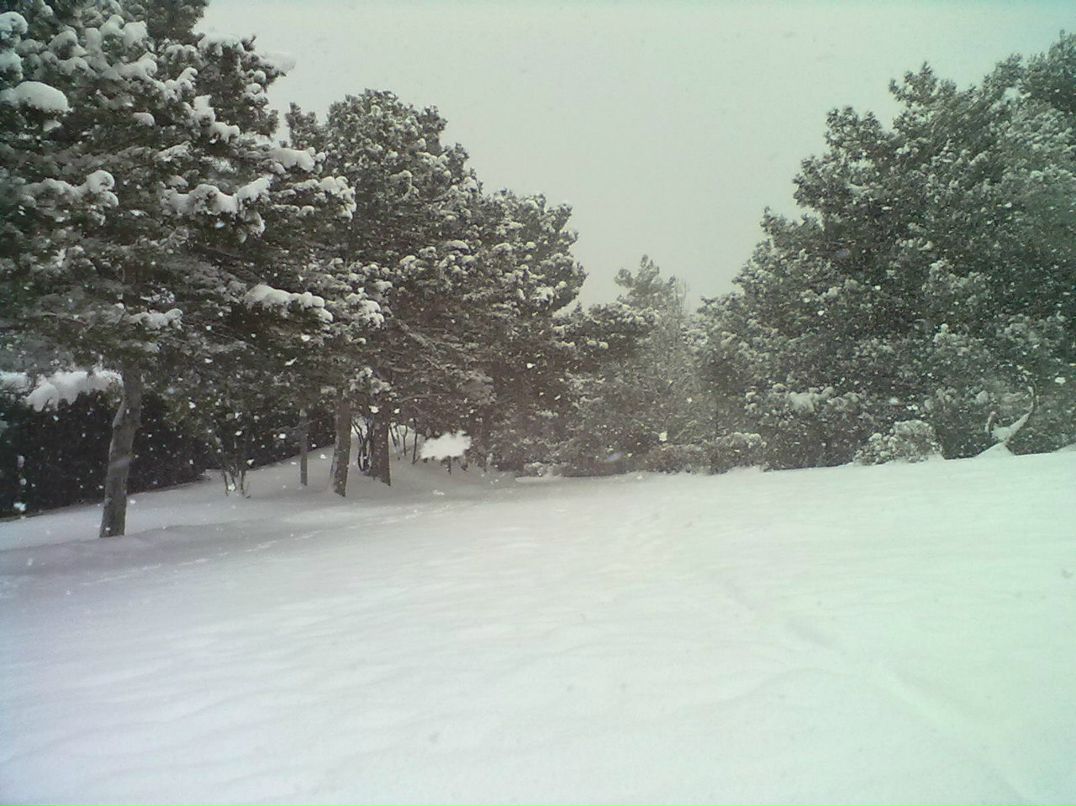 Оля Титаренко | Гурзуф