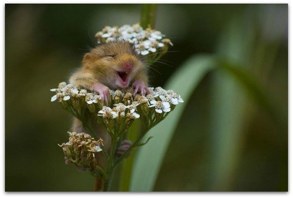 Альберт Мухаметов | Уфа