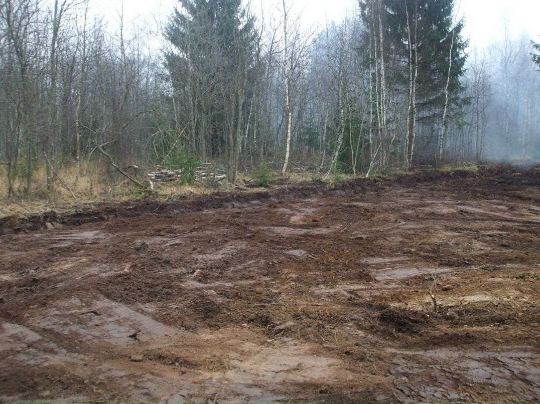 Михаил Андриенко | Санкт-Петербург