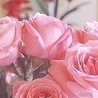 №53, Анжеліка Несен, 27 лет №53, Анжеліка Несен, 27 лет