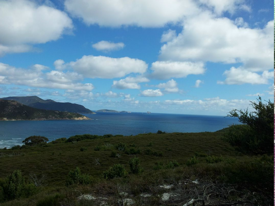 Машенька Жукова | Melbourne