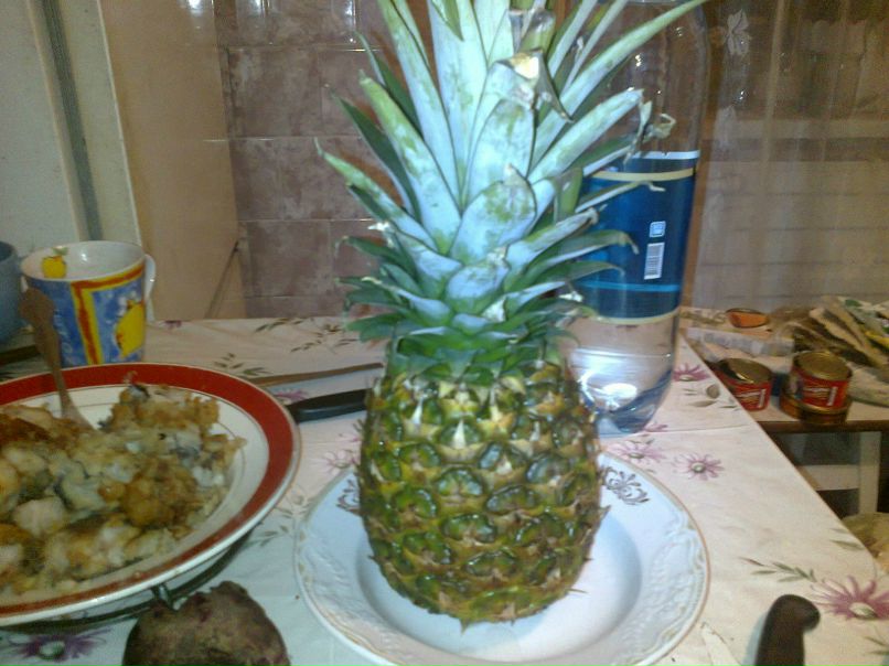 Дима Шиян | Чернигов