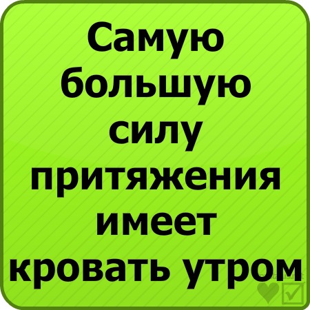 №11, Артём Комаров №11, Артём Комаров