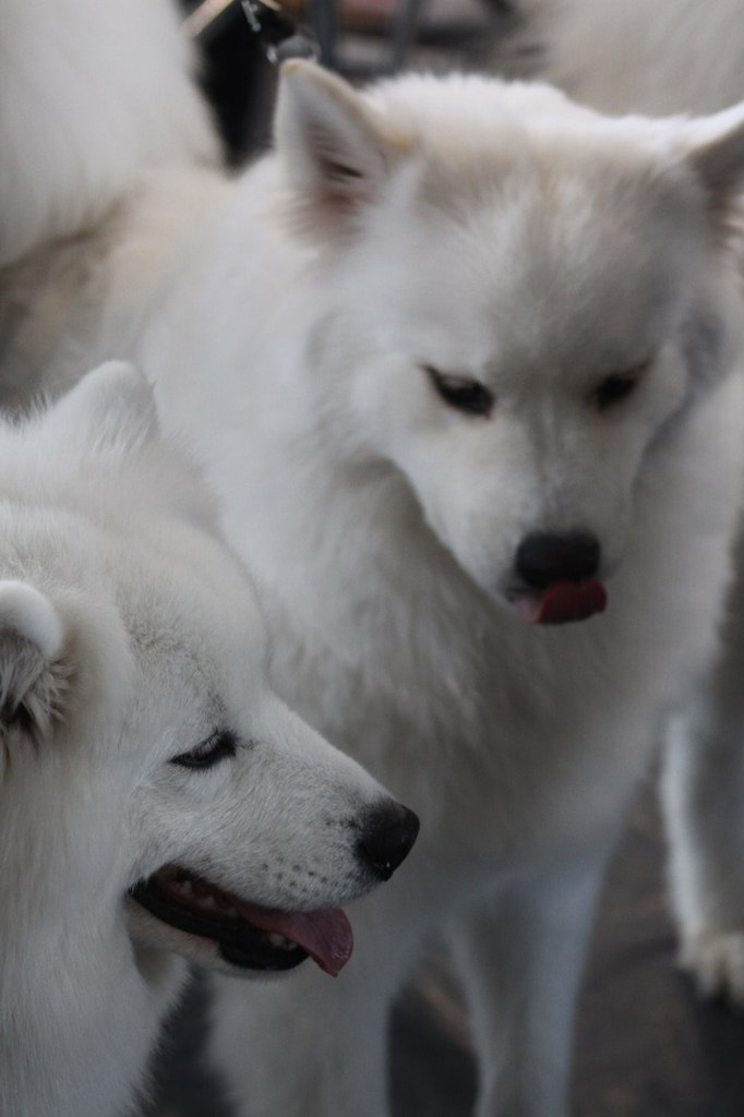 Егор Смолдырев | Иннополис