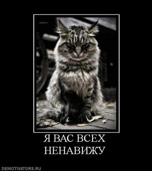 Ксения Лазарева Алексеевна | Североморск