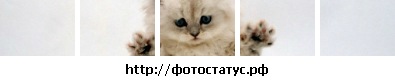 №75, Іра Лалетіна №75, Іра Лалетіна