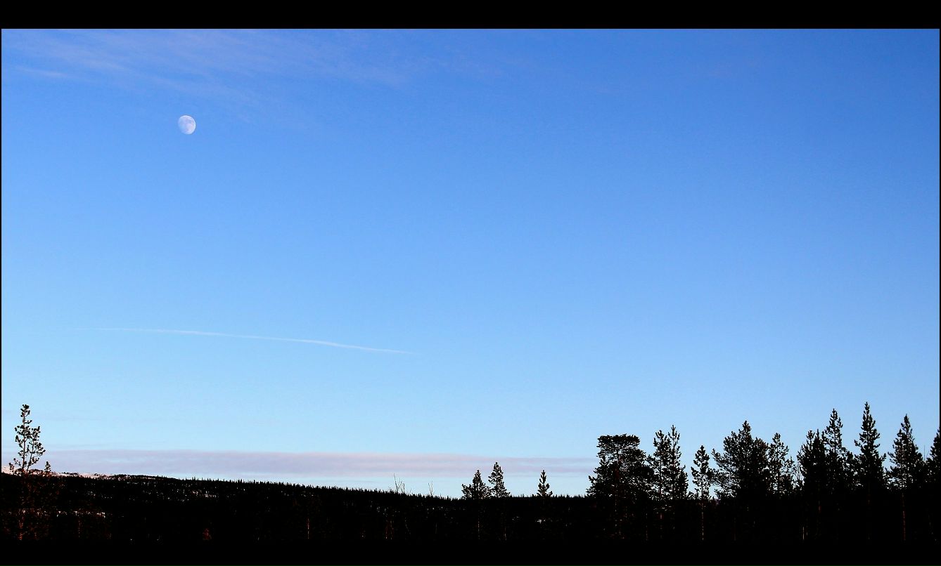 Григорий Парамонов | Мурманск