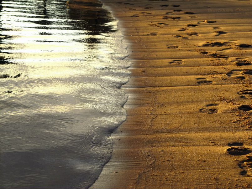 №71, Лена Фотограф Питер, Санкт-Петербург №71, Лена Фотограф Питер, Санкт-Петербург