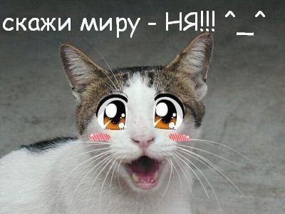Руслан Воробьев | Нижневартовск