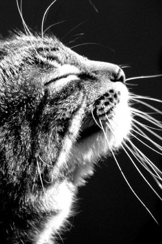 Владислав Арабулов | Одесса