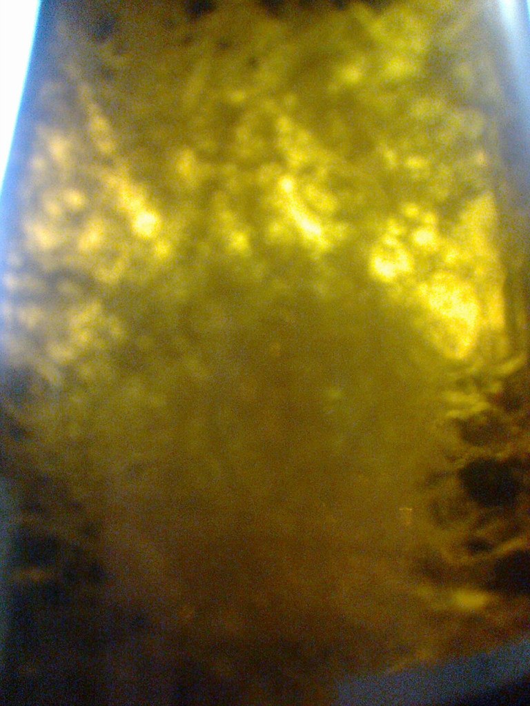 Angel Bolmosov | Москва