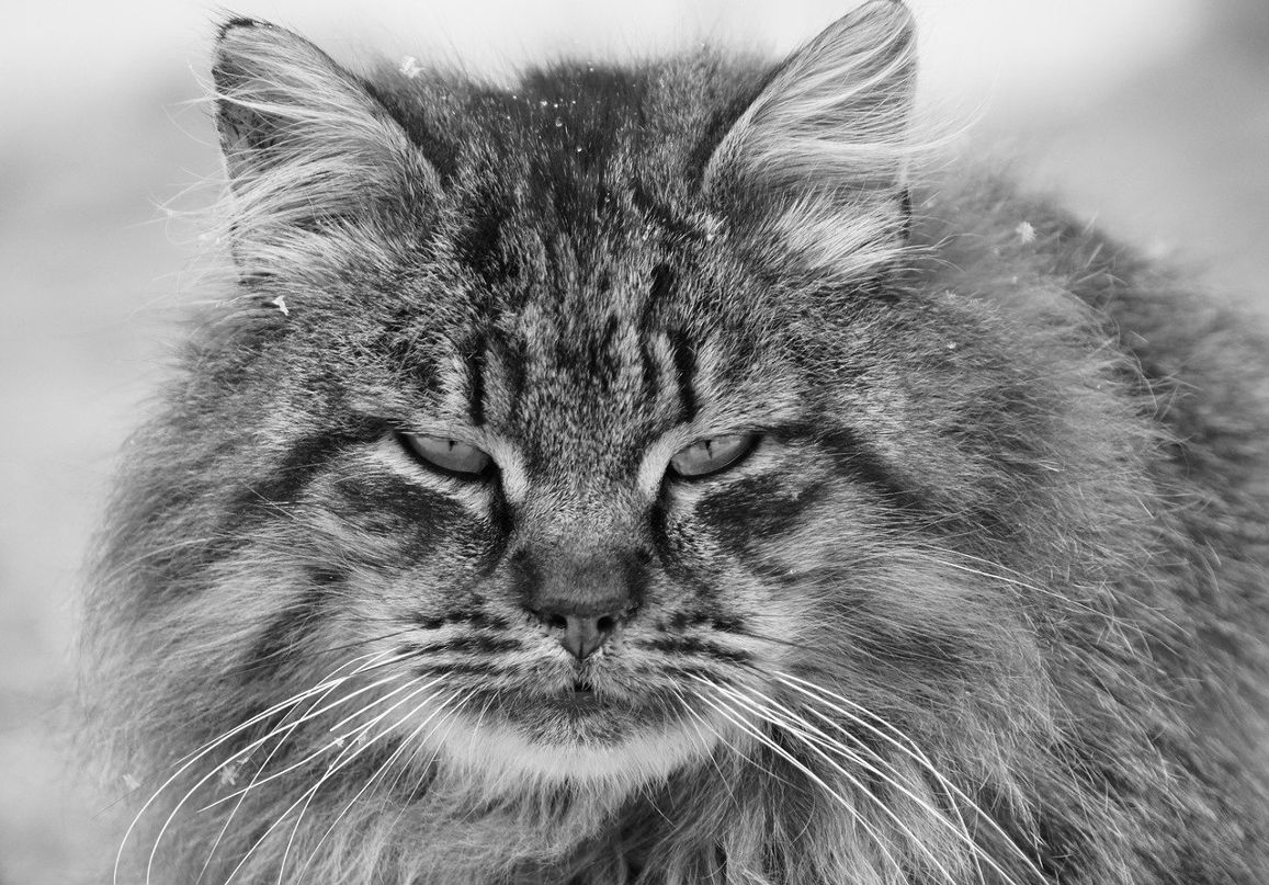 Галина Филяева | Рузаевка