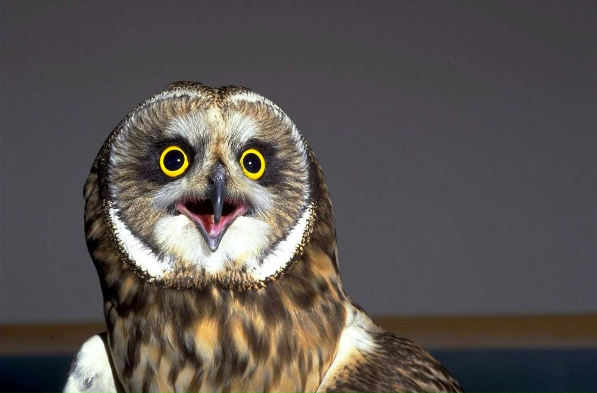 Виктор Сазыкин | 