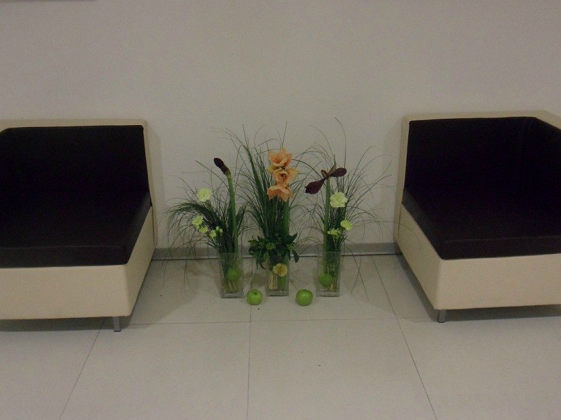 Ольга Пилявская | 