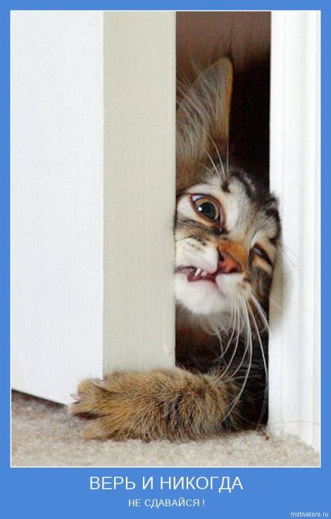 Анастасия Кулакова | Стерлитамак