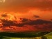 Юлия Карлина фотография #27
