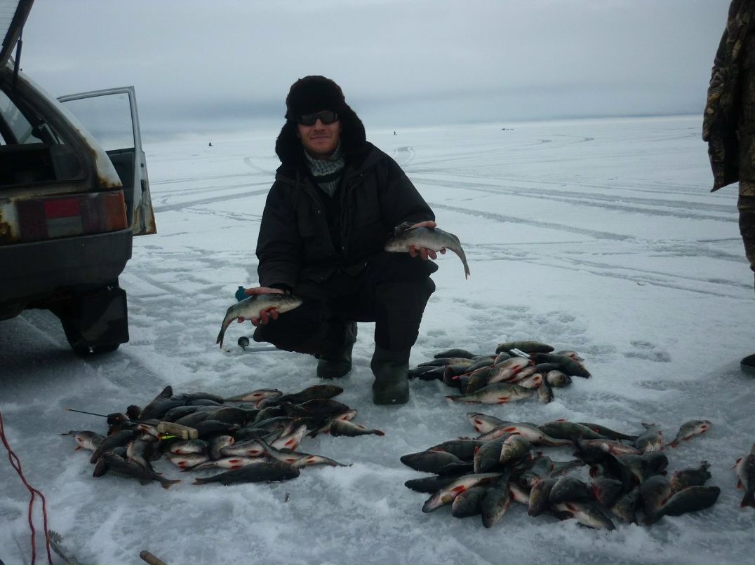 Денис Гришаев | Санкт-Петербург