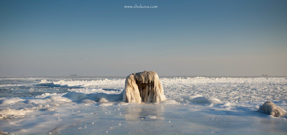 Татьяна Чокова | Одесса