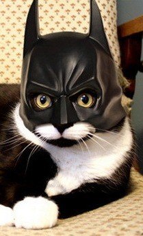 Серёга Паршков | Самара