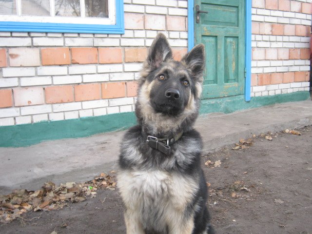 Татьяна Смила | Згуровка