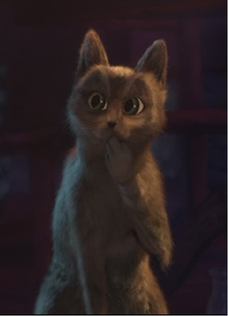 Слава Горбатенко | Новосибирск