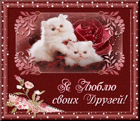 Ольга Рыкова | Знаменск