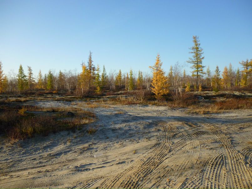 Антон Марач | Белгород