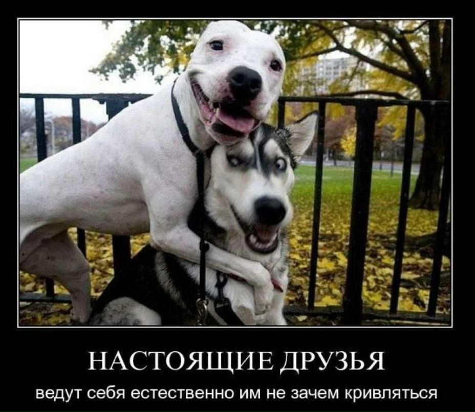 Максим Шулика ⏝⎠⎷⎛⎝ | Минск