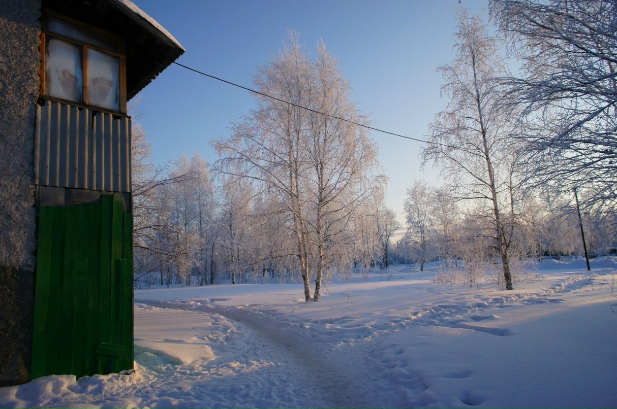 Радик Рафиков | Сургут