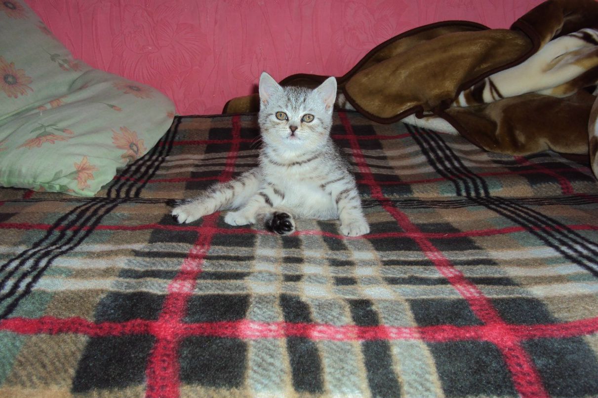 Татьяна Попок | 