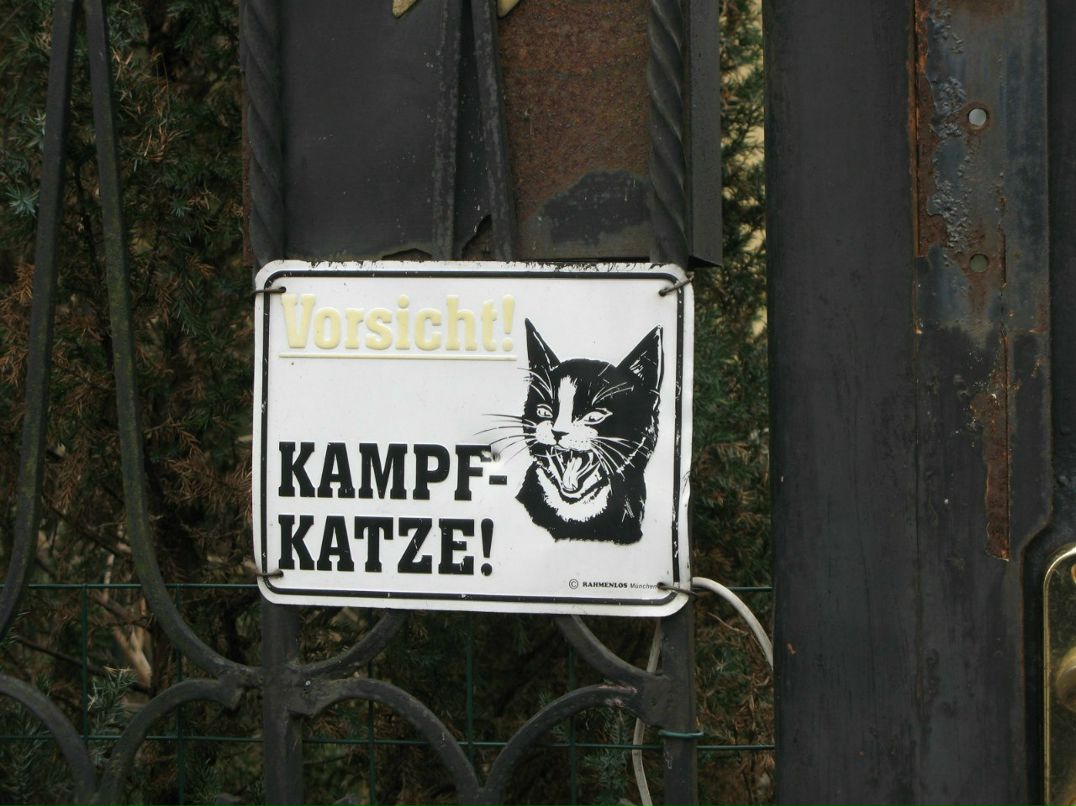 Елена Безлепкина | Санкт-Петербург