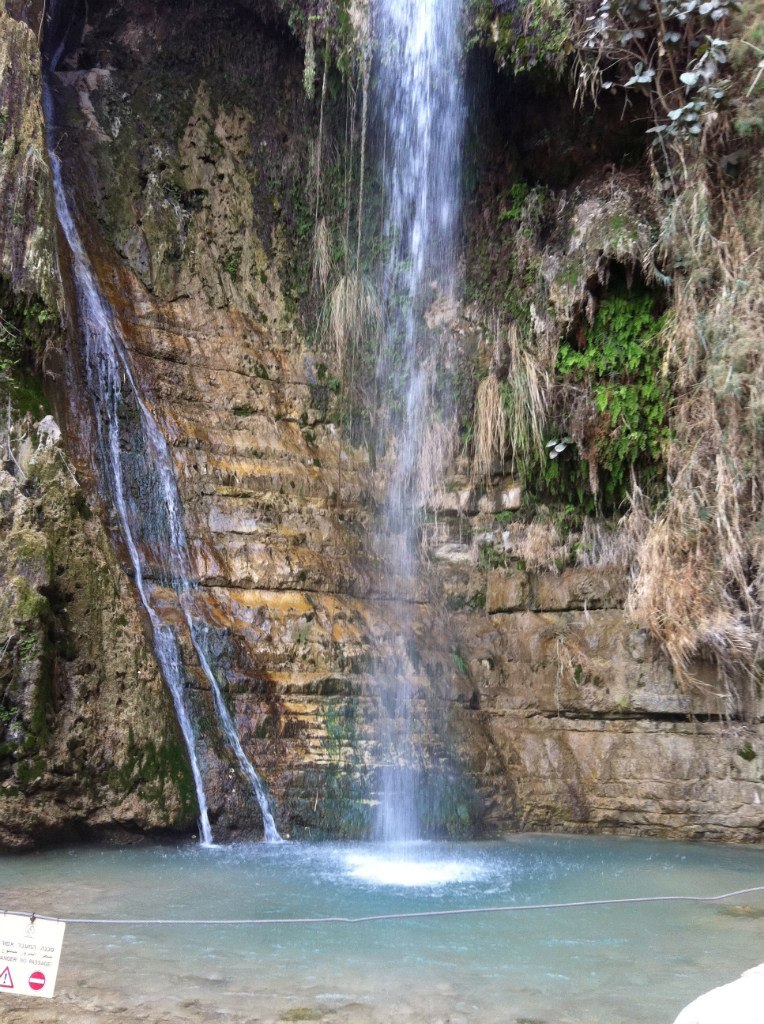 Аня Бектаева | Ташкент