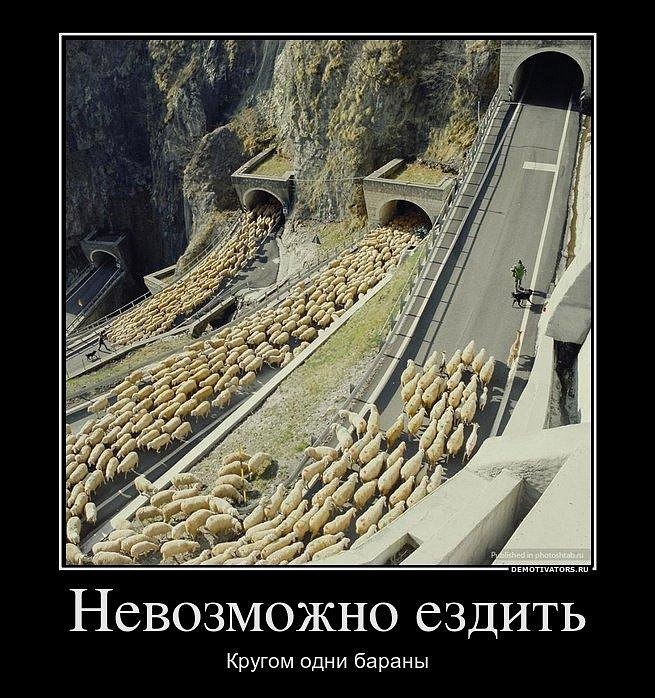 Тарас Юрыйович | Винница