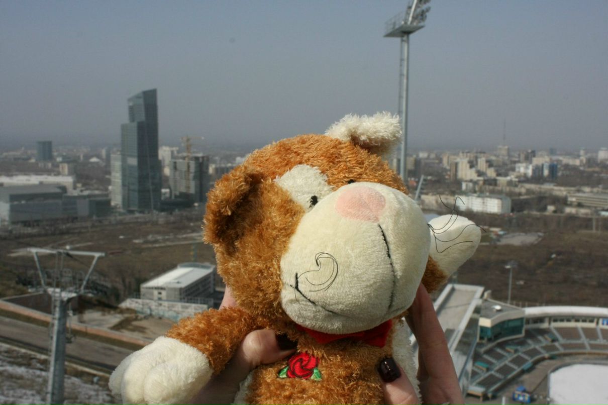 Виктория Паламарчук | Алматы