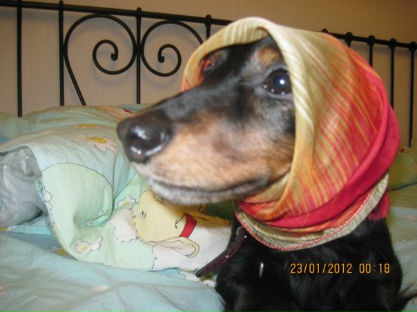 №1, Полина Жукова №1, Полина Жукова