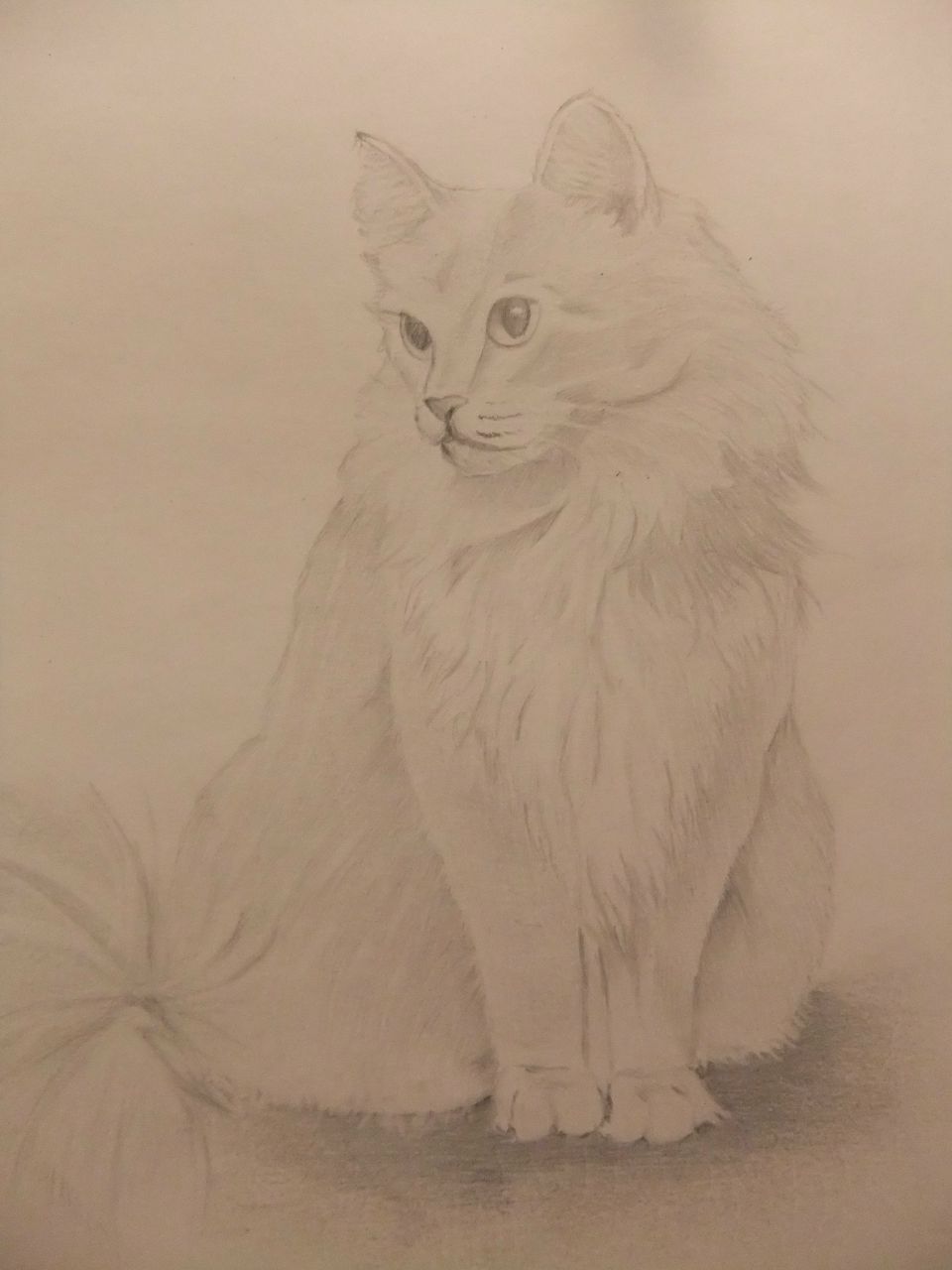 Алиска Чуликова | Москва