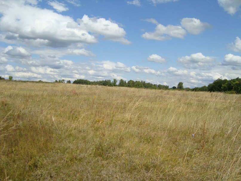 Дима Терентьев | Санкт-Петербург