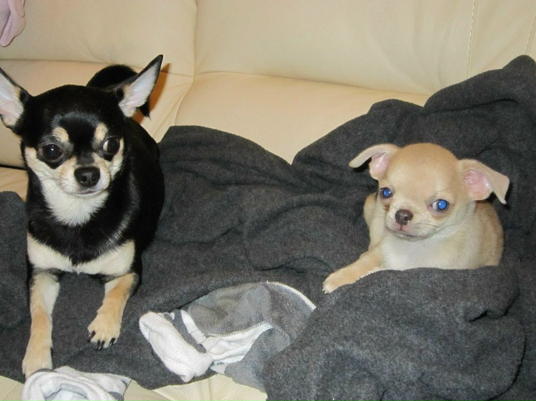 Елена Аврова | Санкт-Петербург