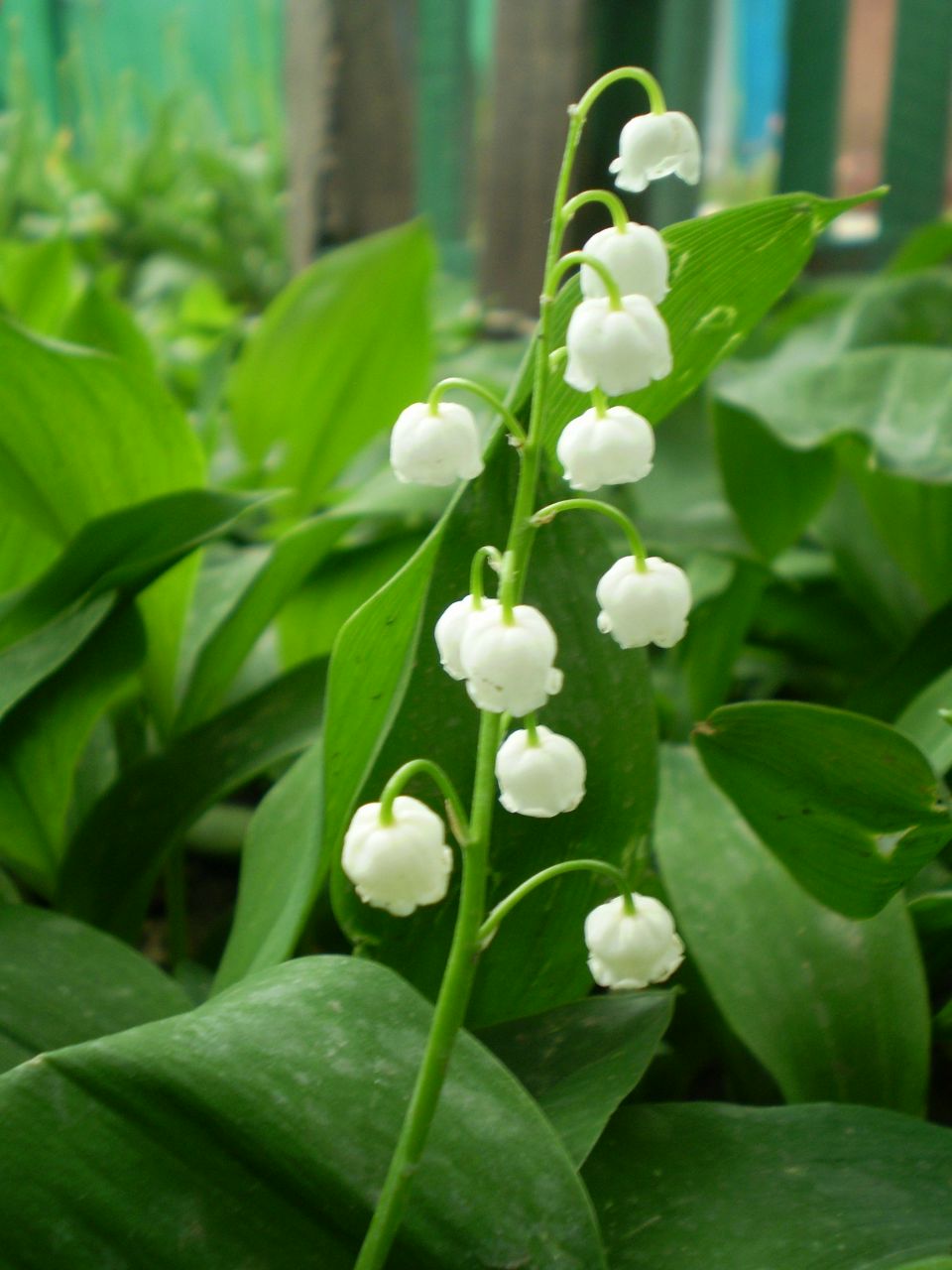 Виталия Ильичёва | Донецк