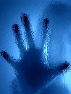 Александр Молчанов | Тихвин