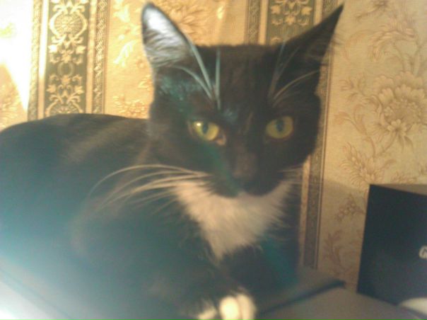 №4, Егор Пономарев №4, Егор Пономарев