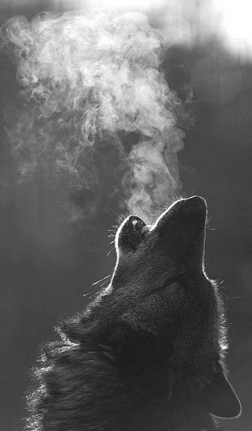 Наталия Александровна ♥ | Хохлово