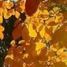 №100, Наталья Аджигитова, 58 лет, Астана №100, Наталья Аджигитова, 58 лет, Астана