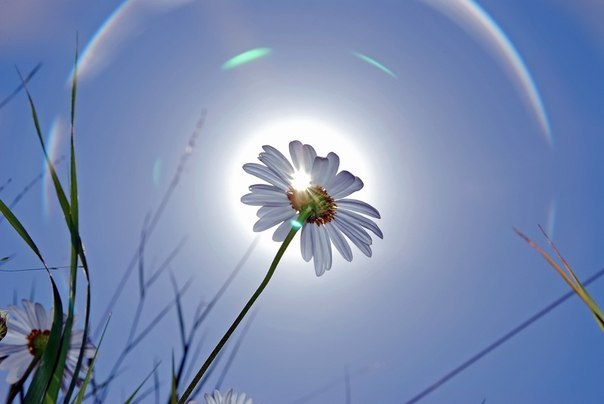 Людмила Свиридова | 