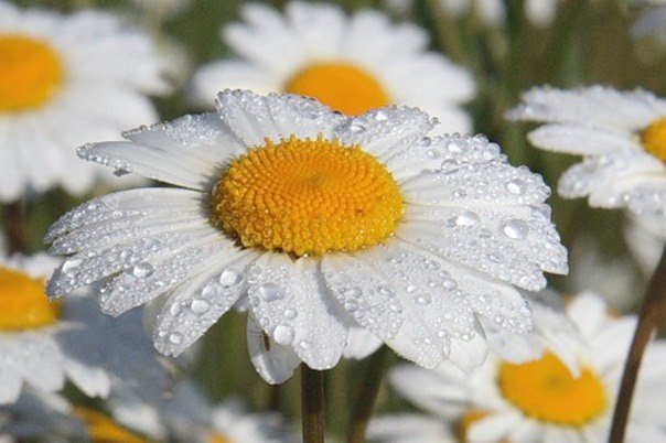 №64, Маша Понайда, 04.12, Ивано-Франковск №64, Маша Понайда, 04.12, Ивано-Франковск