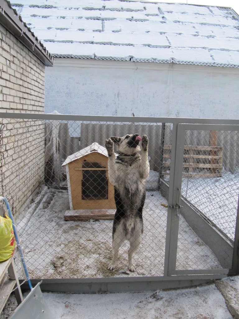Наталия Буторина(Лучинина) | Киров
