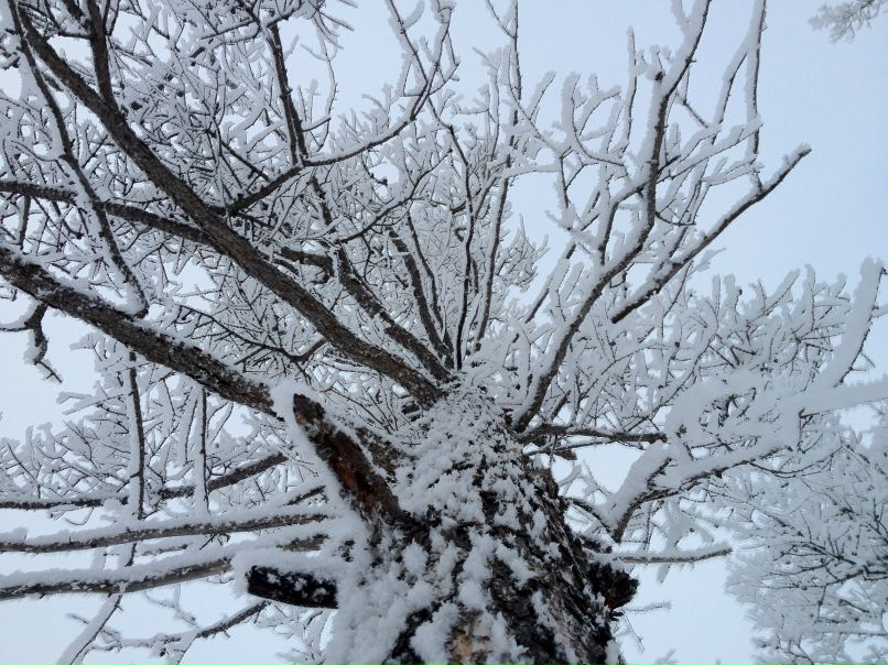 Василий Голосов | Киров