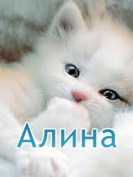№17, Света Сарычева, Димитровград №17, Света Сарычева, Димитровград