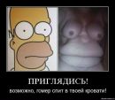 Фотография Рустам Алмазович
